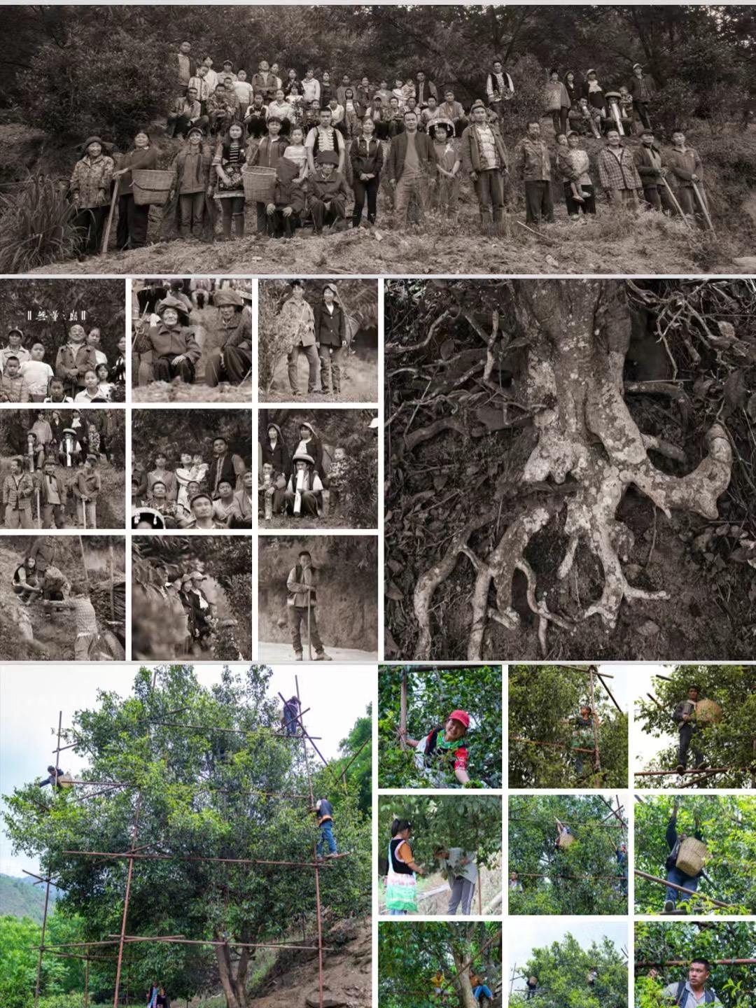 唯有品质，方能长久！直播封面