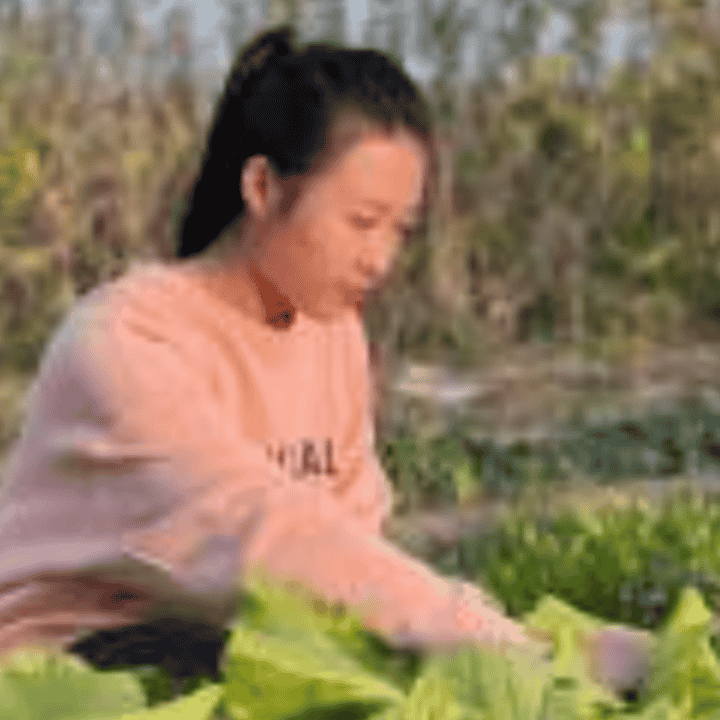 豆腐厂开业啦～直播封面