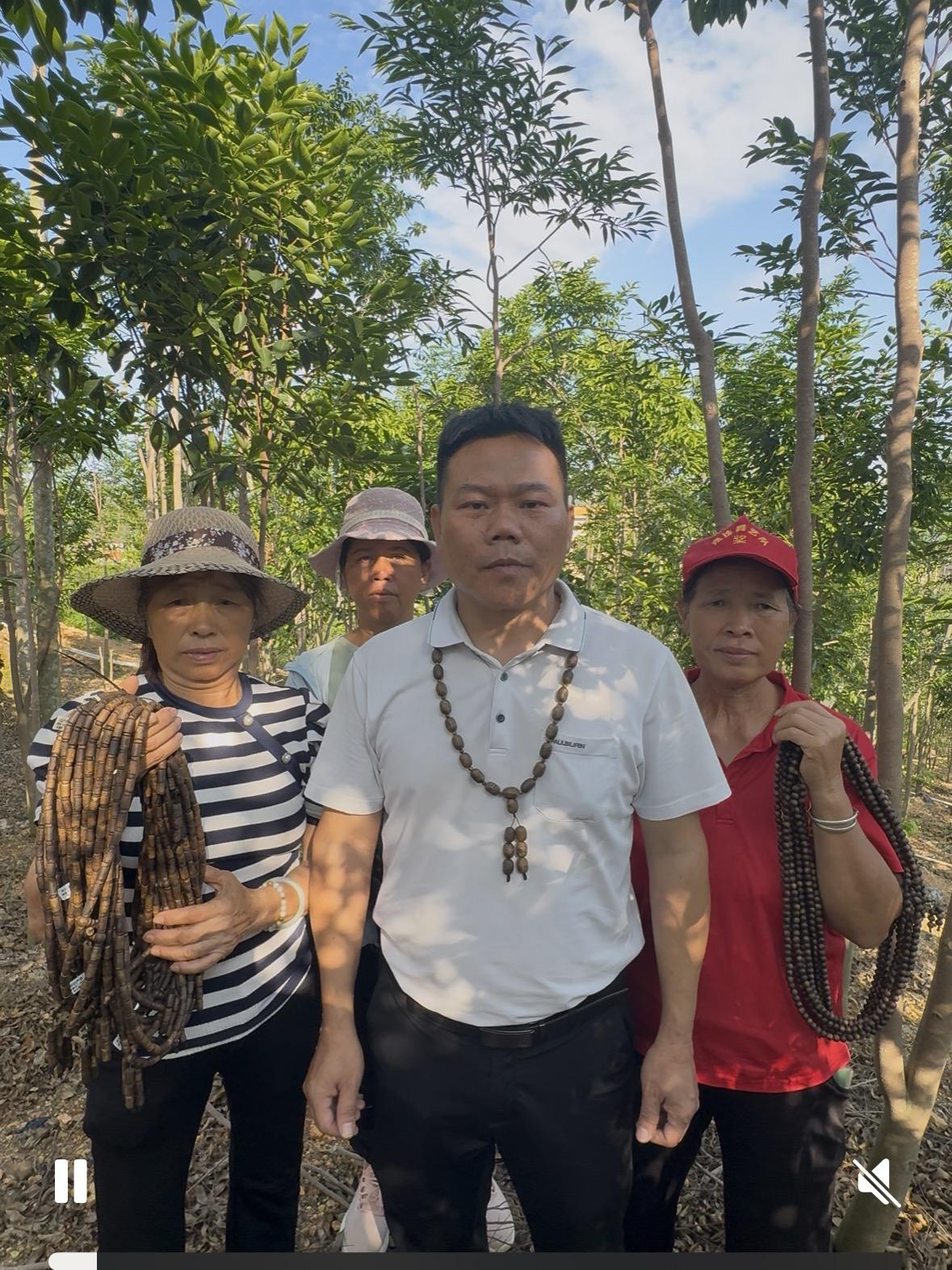 沉香书记 为民带好香正在直播直播封面