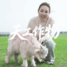 天工作物，溯源本真。直播封面