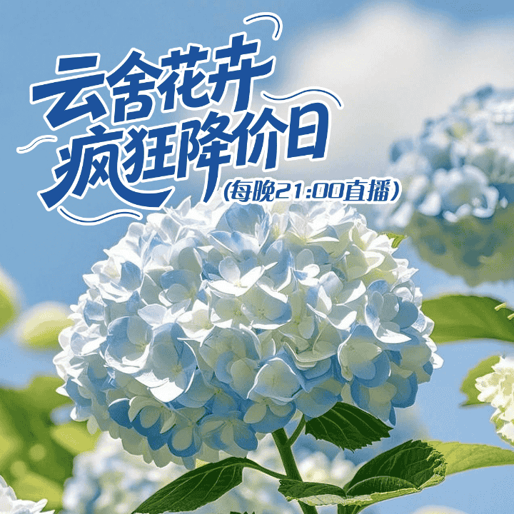 云南高品质鲜花基地直播封面