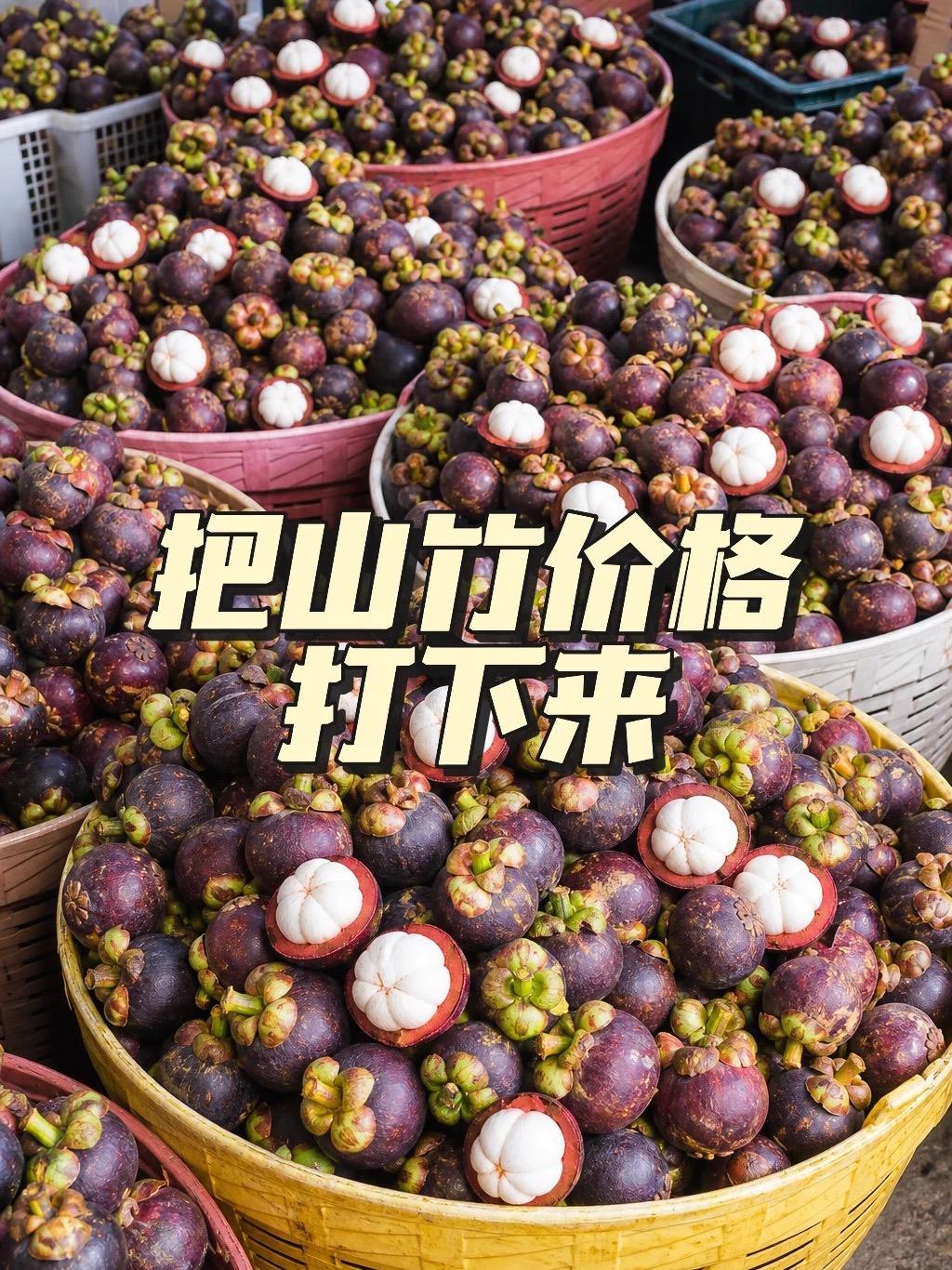 新号冲粉进直播间领山竹啦直播封面