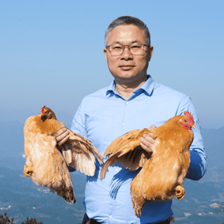 开学成长季，杨博士爆款童子鸡买两只送两只，拍一发五！直播封面