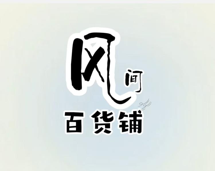 风间精选好货店小店Logo