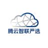 腾云智联严选小店Logo
