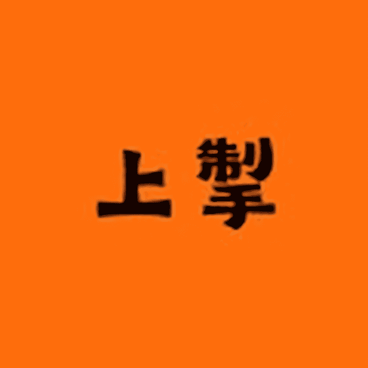 上掣摩托车装备旗舰店