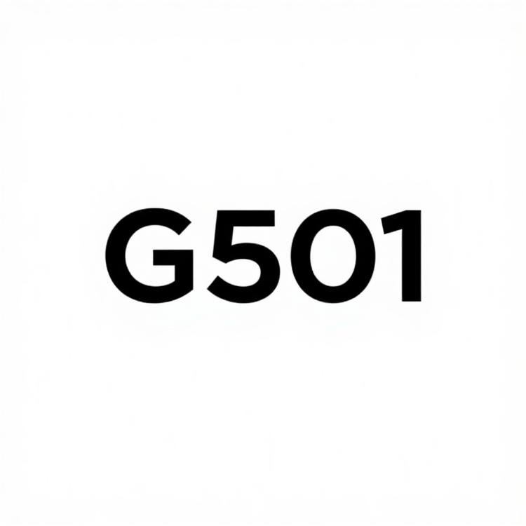 G501线上商店小店Logo