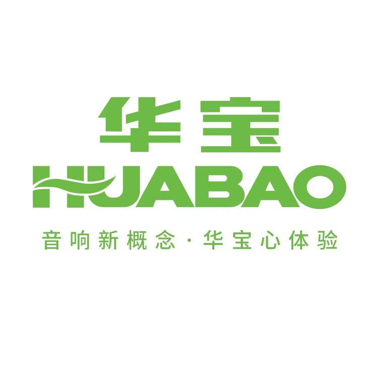 华宝盛二影音专卖店小店Logo
