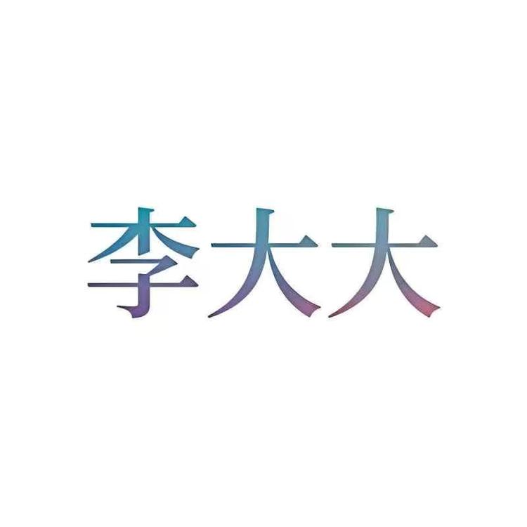 李大大微胖大码女装小店Logo