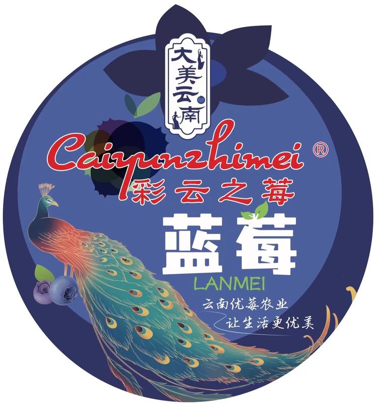 彩云之莓官方旗舰店小店Logo