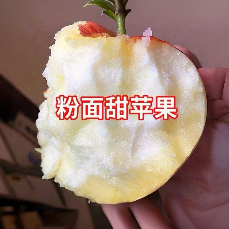 西安启之源果品合作社小店Logo