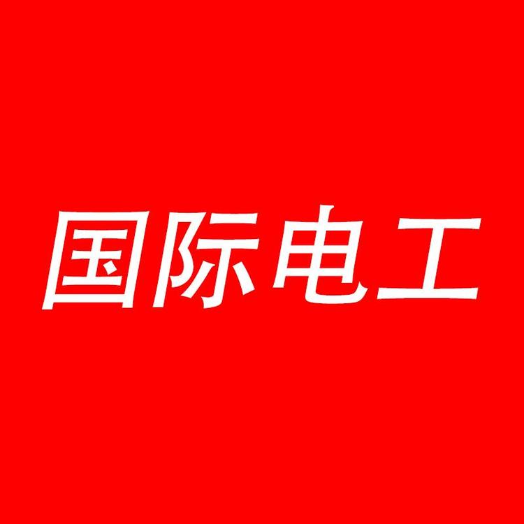 国际电工智能电工专卖店小店Logo