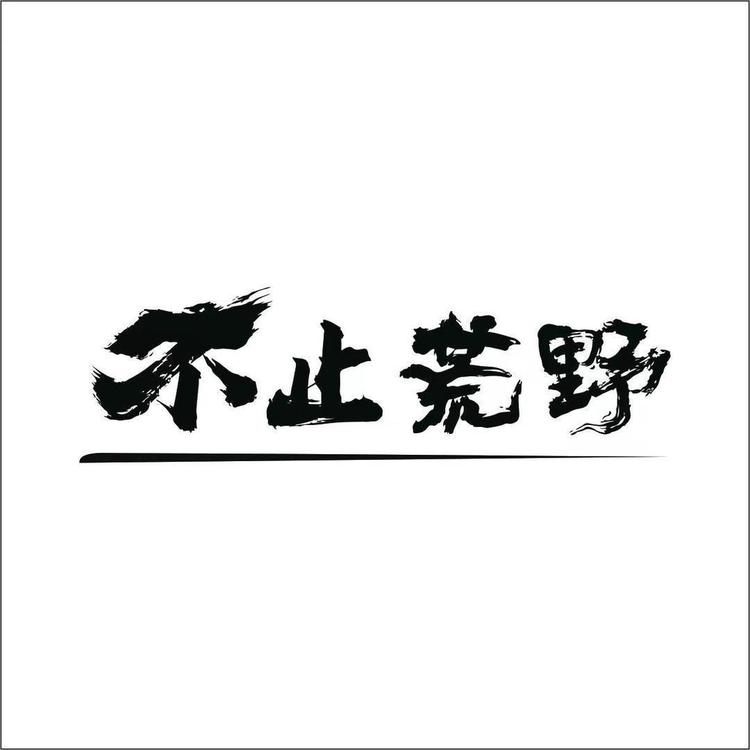 不止荒野官方旗舰店小店Logo