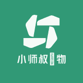 小师叔炁物小店Logo