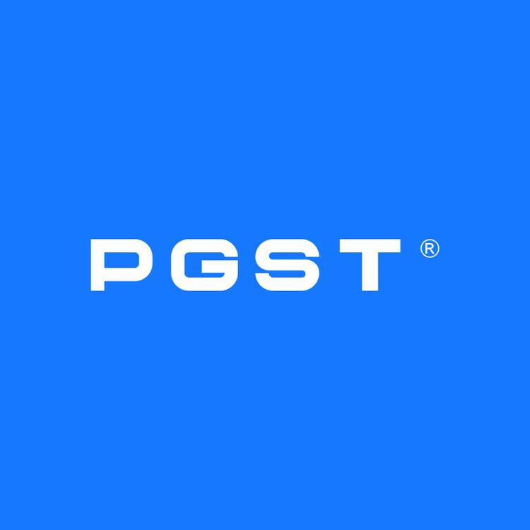PGST安防旗舰店小店Logo
