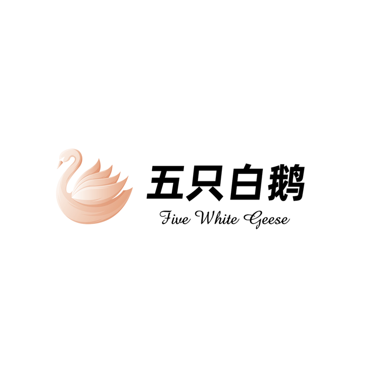五只白鹅允澄服饰专卖店小店Logo