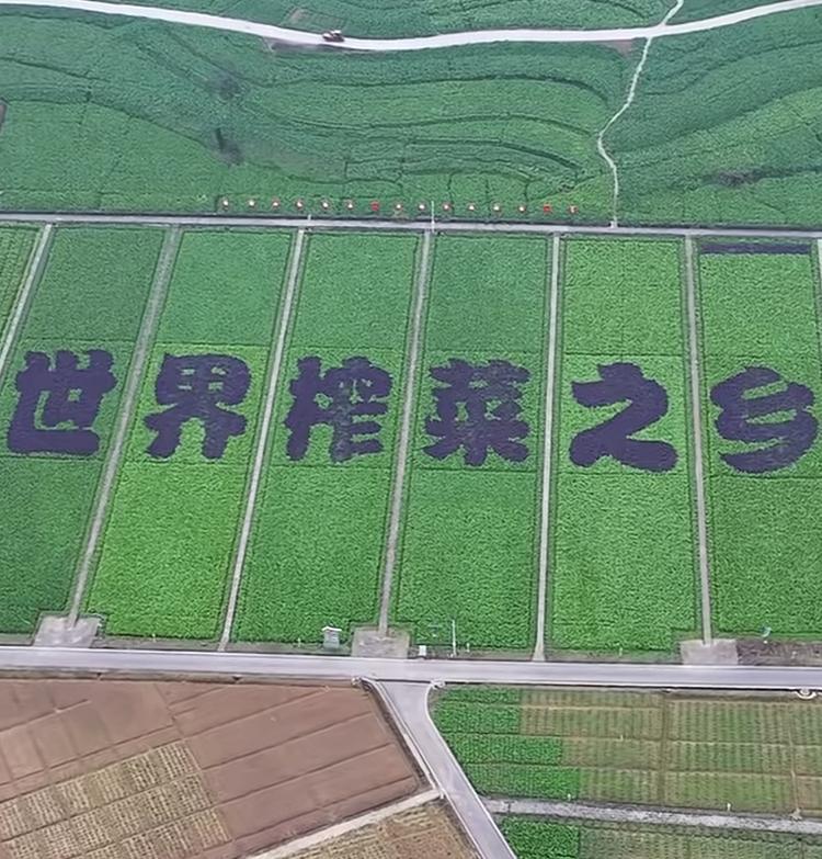涪陵特产工厂店小店Logo