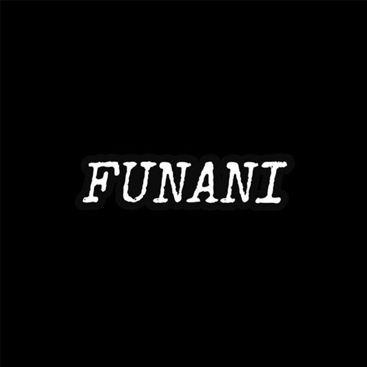 FNN轻奢定制1店小店Logo