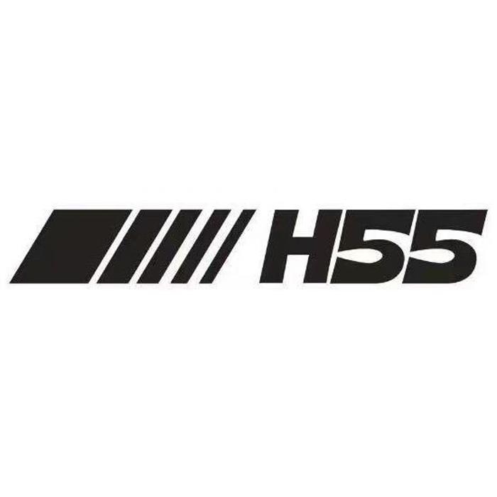 H55官方旗舰店小店Logo