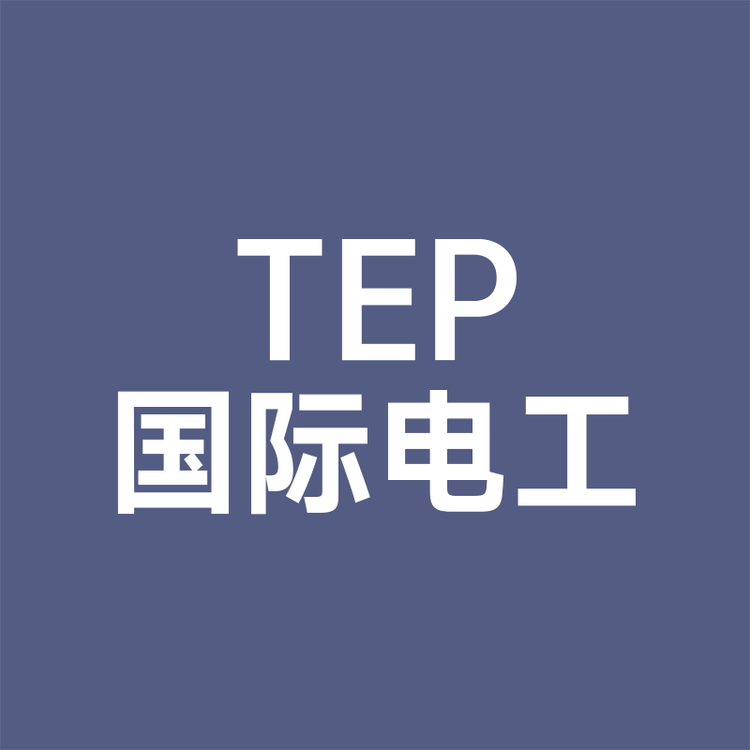 TEP国际电工开关插座官方旗舰店小店Logo