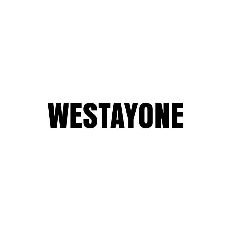 westayone运动户外旗舰店小店Logo