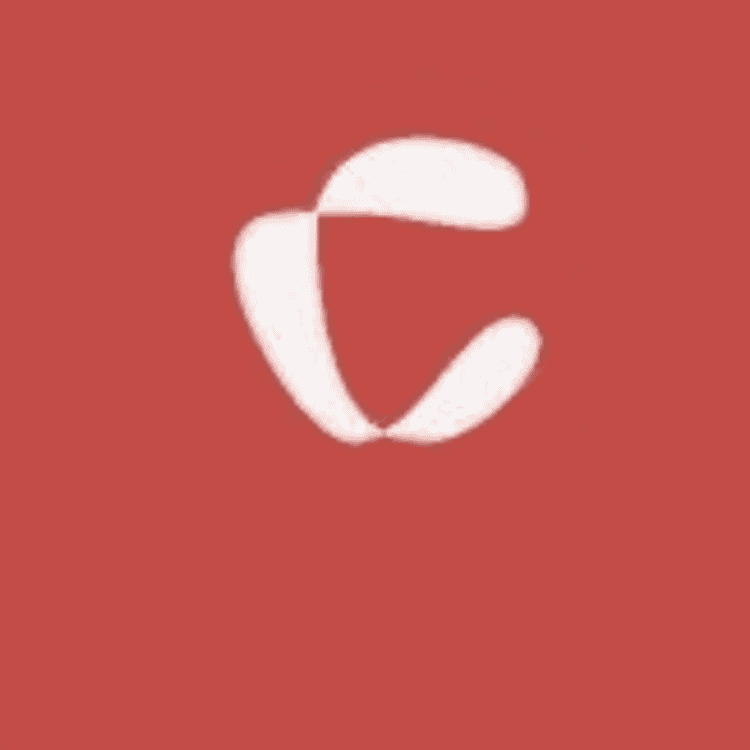 SENYU微胖定制女装小店Logo