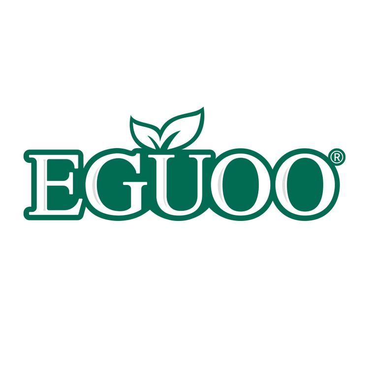 EGUOO海外旗舰店小店Logo