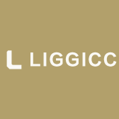 LIGGICC服装旗舰店小店Logo