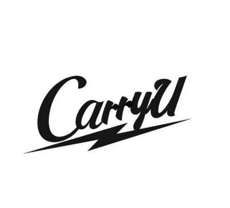 CarryYou线上商店小店Logo