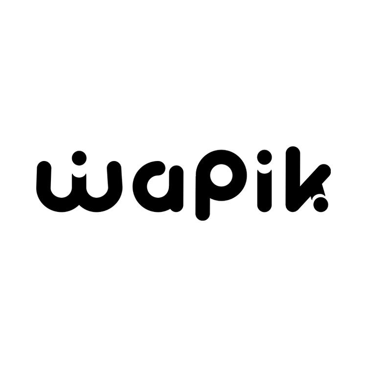 Wapik海外旗舰店小店Logo