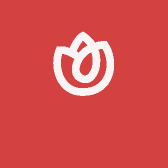 晴宝好物甄选铺YHK小店Logo