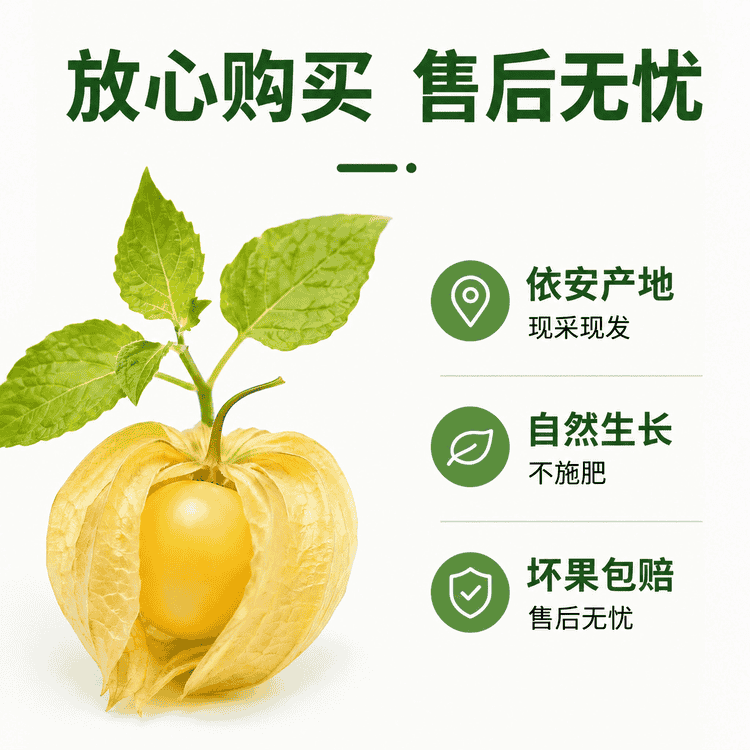 黑土地菇娘果小店Logo