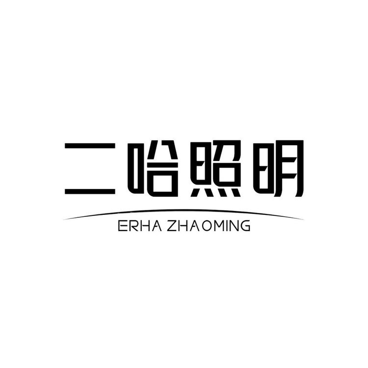 二哈照明专卖店小店Logo