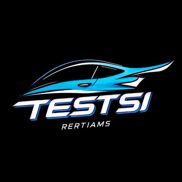 特斯特汽车用品小店Logo