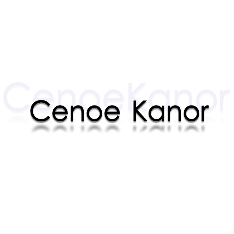 CenoeKanor服饰内衣专卖店小店Logo