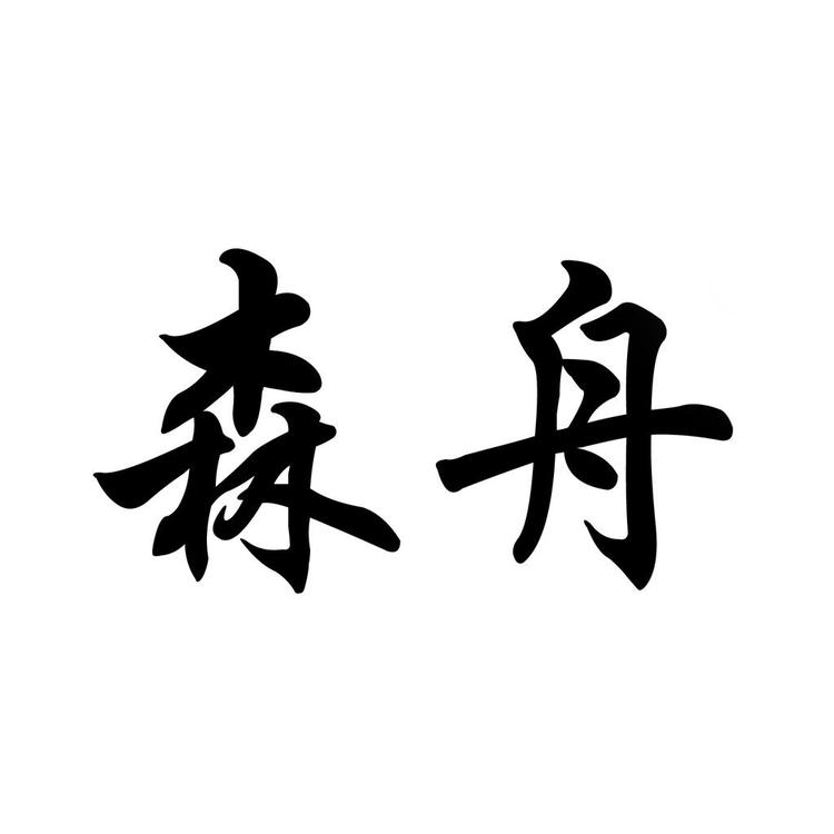 森舟电子专卖店小店Logo