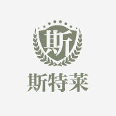斯特莱企业店小店Logo