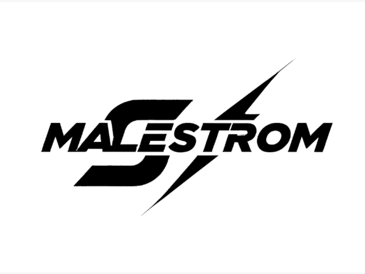 MALESTROM甄选小店Logo