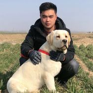 养狗狗的（赵弟）抖音达人头像