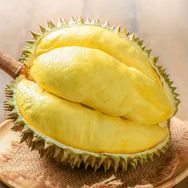 榴莲冰皮月饼直发抖音达人头像