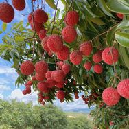 耄耋之年抖音号头像