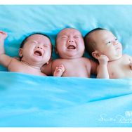 三只小牛抖音达人头像