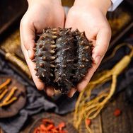 嘉莱海参优选工厂抖音号头像