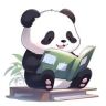 熊猫说抖音达人头像