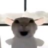 迷域（三角洲行动）抖音达人头像