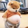 狗嫂养鱼抖音达人头像