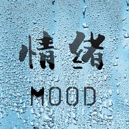 情绪唱片抖音达人头像
