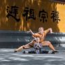 延淀抖音达人头像
