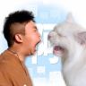 喵君是个大聪明抖音达人头像
