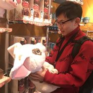 图图想回国抖音达人头像
